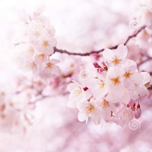 Meet your Posher, Mia